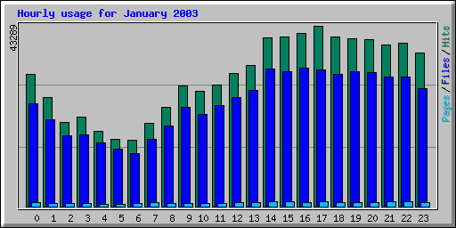 Hourly usage for January 2003
